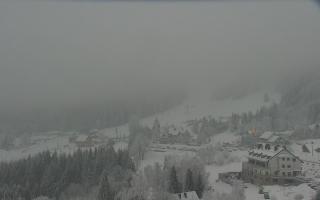 Nartorama - Panorama #2 Zielenie - 29-01-2026 15:10