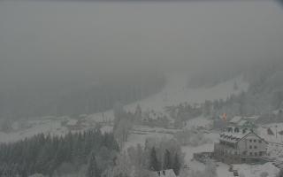 Nartorama - Panorama #2 Zielenie - 29-01-2026 15:18