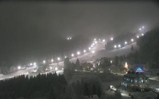 Nartorama - Panorama #2 Zielenie - 29-01-2026 16:35