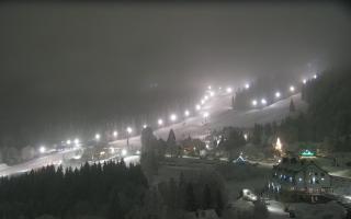 Nartorama - Panorama #2 Zielenie - 29-01-2026 16:59