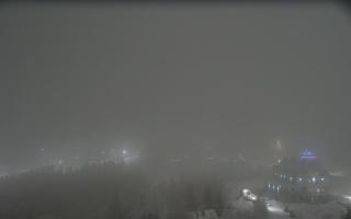 Nartorama - Panorama #2 Zielenie - 29-01-2026 19:10