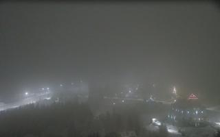 Nartorama - Panorama #2 Zielenie - 29-01-2026 19:25