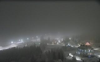 Nartorama - Panorama #2 Zielenie - 29-01-2026 19:33