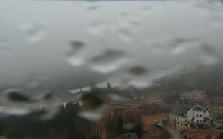 Nartorama - Panorama #2 Zielenie - 16-03-2026 06:56