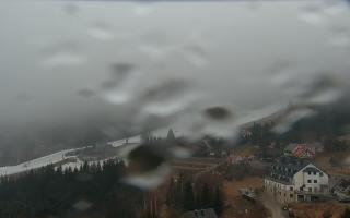 Nartorama - Panorama #2 Zielenie - 16-03-2026 07:19