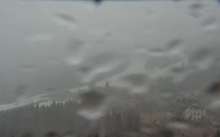 Nartorama - Panorama #2 Zielenie - 16-03-2026 07:35