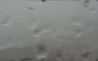 Nartorama - Panorama #2 Zielenie - 16-03-2026 07:42