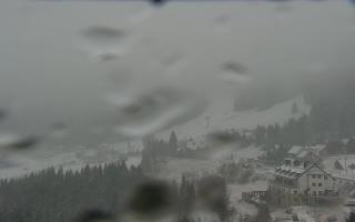 Nartorama - Panorama #2 Zielenie - 16-03-2026 08:06