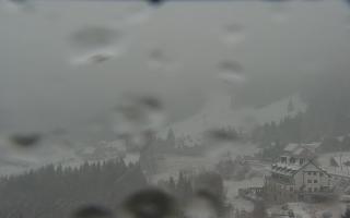 Nartorama - Panorama #2 Zielenie - 16-03-2026 08:13