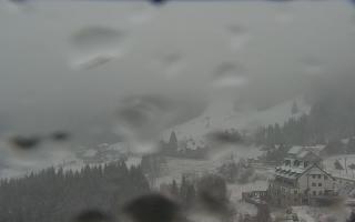 Nartorama - Panorama #2 Zielenie - 16-03-2026 08:21