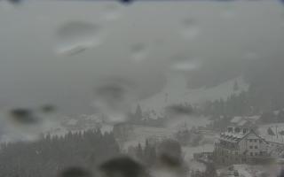 Nartorama - Panorama #2 Zielenie - 16-03-2026 08:29