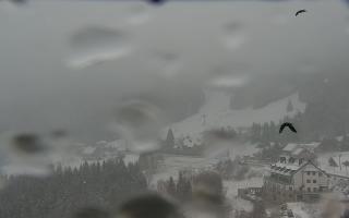 Nartorama - Panorama #2 Zielenie - 16-03-2026 08:36