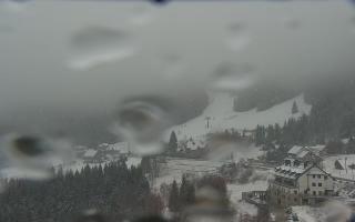 Nartorama - Panorama #2 Zielenie - 16-03-2026 08:44