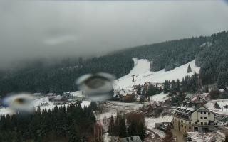 Nartorama - Panorama #2 Zielenie - 16-03-2026 10:01