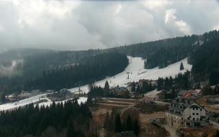 Nartorama - Panorama #2 Zielenie - 16-03-2026 11:20