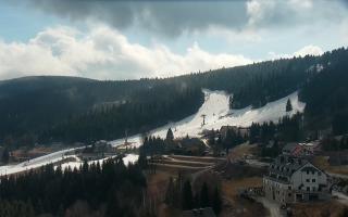 Nartorama - Panorama #2 Zielenie - 16-03-2026 11:59