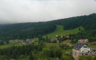 Nartorama - Panorama #2 Zielenie - 15-06-2026 07:44