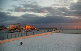 Gdynia plaża miejska - 21-11-2024 06:35