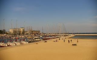 Gdynia plaża miejska - 17-06-2025 14:42