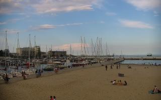 Gdynia plaża miejska - 02-08-2025 16:30