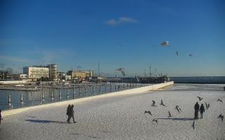 Gdynia plaża miejska - 01-02-2026 10:03