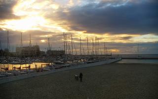 Gdynia plaża miejska - 14-06-2026 02:46
