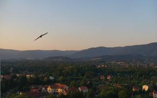Andrychów - Panorama - 28-06-2026 03:24