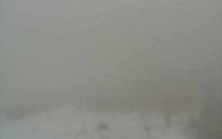 Bachledka Ski & Sun - 29-01-2026 07:14