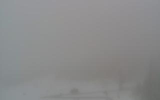 Bachledka Ski & Sun - 29-01-2026 08:15