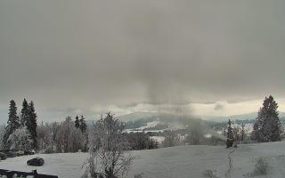 Rusin Ski panorama - 01-02-2026 11:42