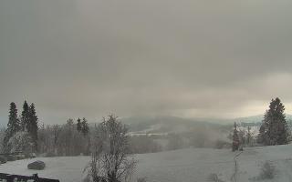 Rusin Ski panorama - 01-02-2026 11:49