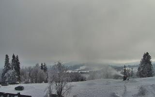 Rusin Ski panorama - 01-02-2026 12:12