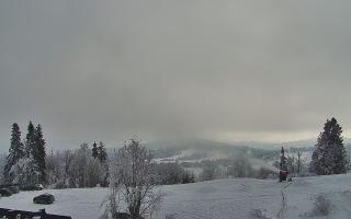Rusin Ski panorama - 01-02-2026 12:20