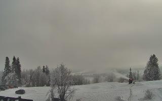 Rusin Ski panorama - 01-02-2026 12:35