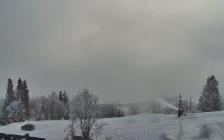 Rusin Ski panorama - 01-02-2026 12:43