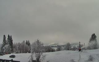 Rusin Ski panorama - 01-02-2026 12:50