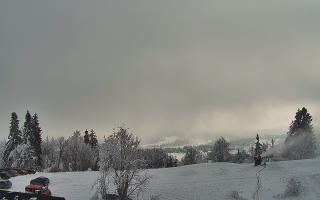 Rusin Ski panorama - 01-02-2026 12:58