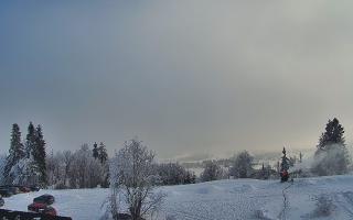 Rusin Ski panorama - 01-02-2026 13:28