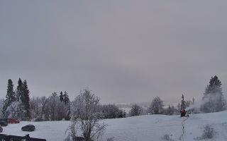 Rusin Ski panorama - 01-02-2026 14:29