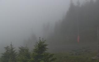 Czarna Góra Resort -Trasa Zjazdo - 12-06-2026 18:49