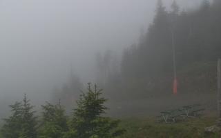 Czarna Góra Resort -Trasa Zjazdo - 12-06-2026 18:56