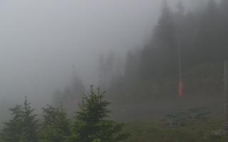 Czarna Góra Resort -Trasa Zjazdo - 12-06-2026 19:04