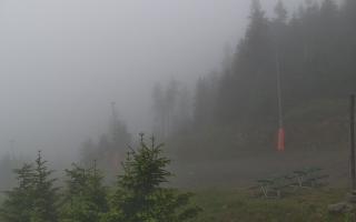 Czarna Góra Resort -Trasa Zjazdo - 13-06-2026 03:00
