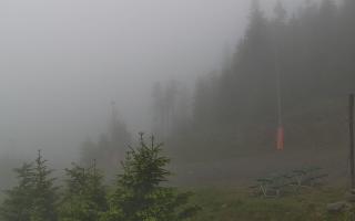 Czarna Góra Resort -Trasa Zjazdo - 13-06-2026 03:23