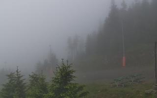 Czarna Góra Resort -Trasa Zjazdo - 13-06-2026 04:02
