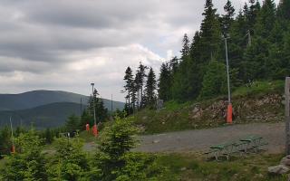 Czarna Góra Resort -Trasa Zjazdo - 17-06-2026 16:06