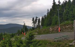 Czarna Góra Resort -Trasa Zjazdo - 17-06-2026 16:29