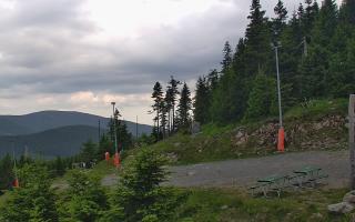 Czarna Góra Resort -Trasa Zjazdo - 17-06-2026 16:37