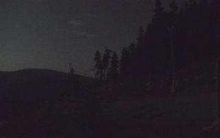 Czarna Góra Resort -Trasa Zjazdo - 01-08-2026 22:40