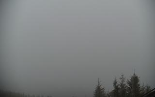 COS - Skrzyczne#2 - 17-03-2026 11:05